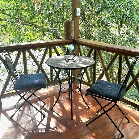 Caoni Riverside Lodge Puerto Quito Exteriör bild