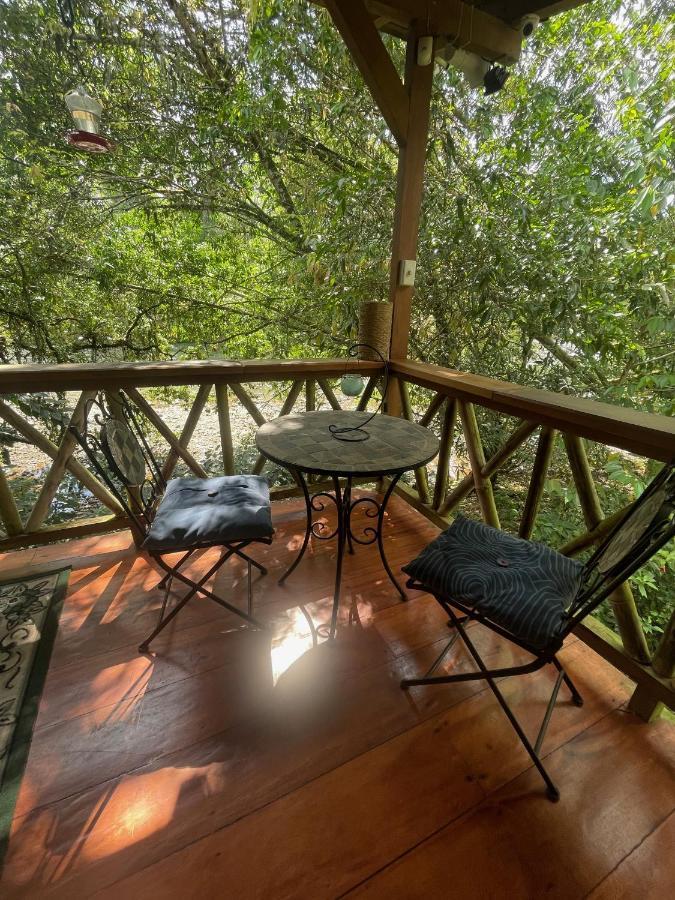 Caoni Riverside Lodge Puerto Quito Exteriör bild